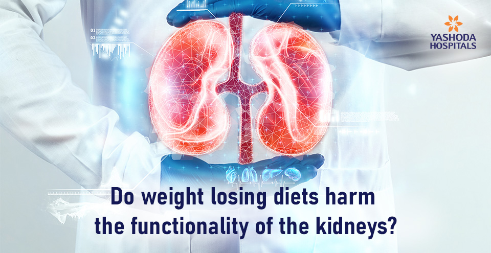 Do weight losing diets harm the functionality of the kidneys?