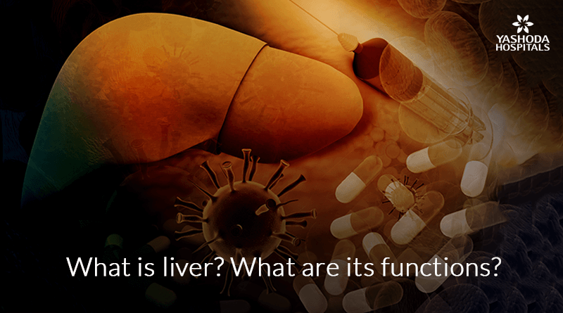 What-is-liver