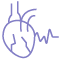 Coronary CT angiography (CCTA)