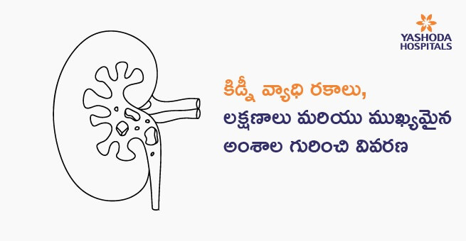 కిడ్నీ వ్యాధి రకాలు, లక్షణాలు మరియు ముఖ్యమైన అంశాల గురించి వివరణ