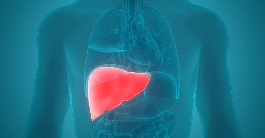 Autoimmune hepatitis is an uncommon cause of persistent liver inflammation