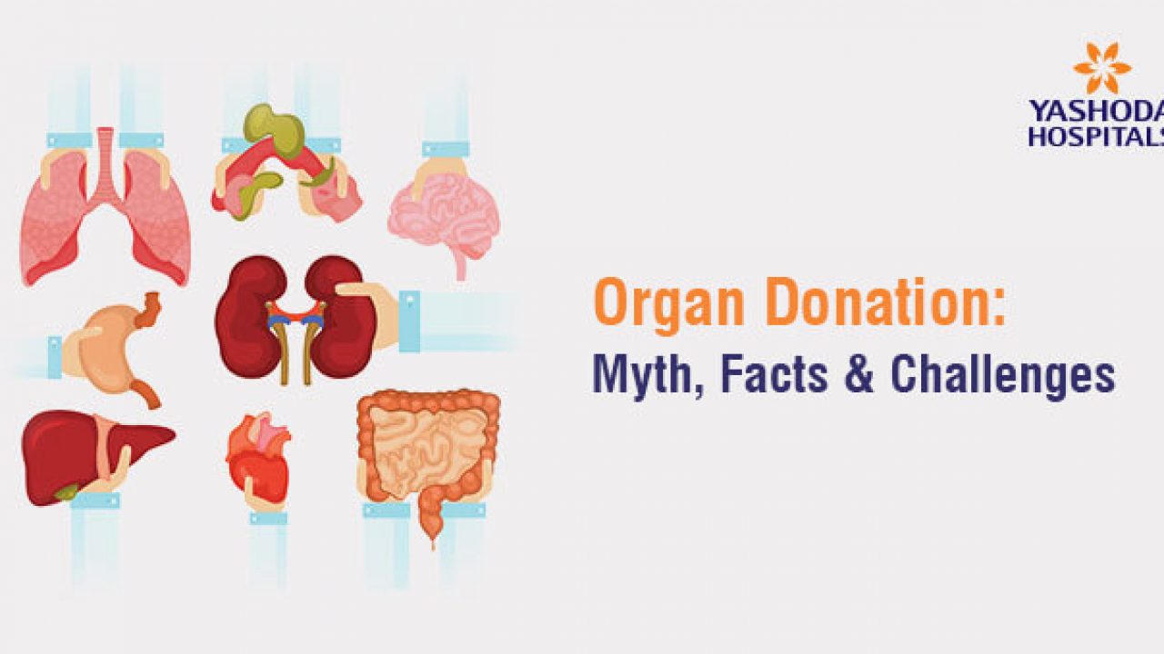 Organ Donation Day: Doctor explains why India still lags behind in
