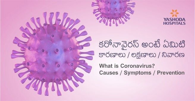 coronavirus essay writing in telugu